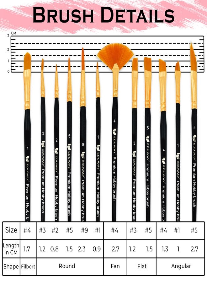 Eduway Painting Brush Set of 12 | Professional Artist Brushes with Rounded Pointed Tips | Suitable for Acrylic, Watercolor, Gouache | Ideal for Beginners, Students, Artists & Hobbyists - Image 2
